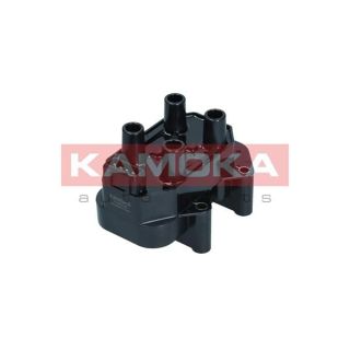 Ritė, uždegimas KAMOKA 7120140