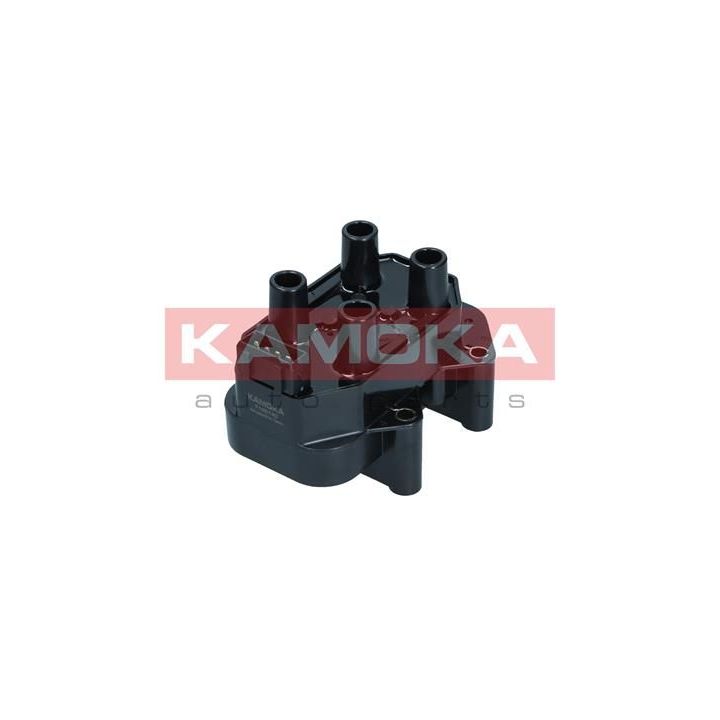 Ritė, uždegimas KAMOKA 7120140