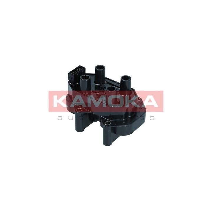 Ritė, uždegimas KAMOKA 7120140