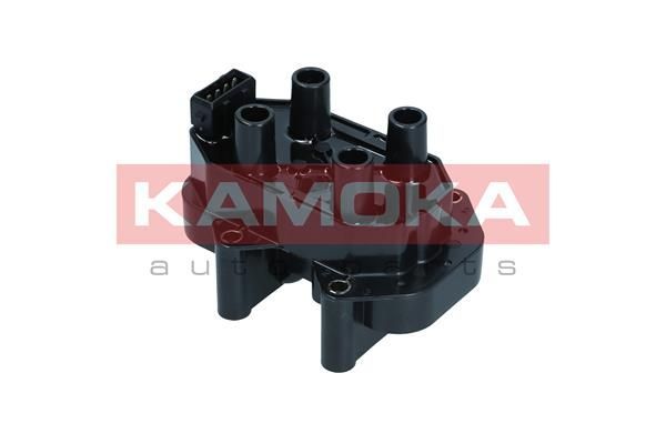 Ritė, uždegimas KAMOKA 7120140