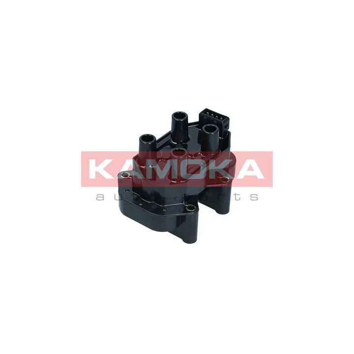 Ritė, uždegimas KAMOKA 7120140