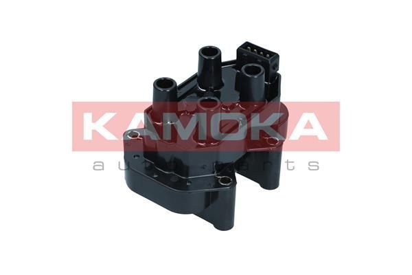 Ritė, uždegimas KAMOKA 7120140