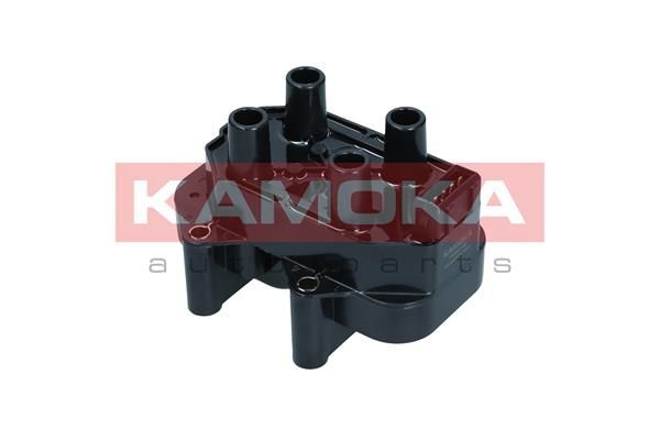 Ritė, uždegimas KAMOKA 7120140