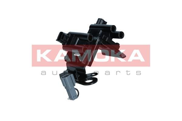 Ritė, uždegimas KAMOKA 7120141