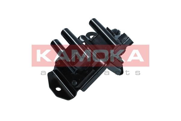 Ritė, uždegimas KAMOKA 7120141