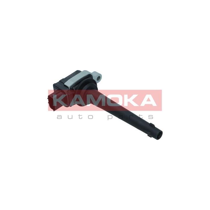 Ritė, uždegimas KAMOKA 7120144