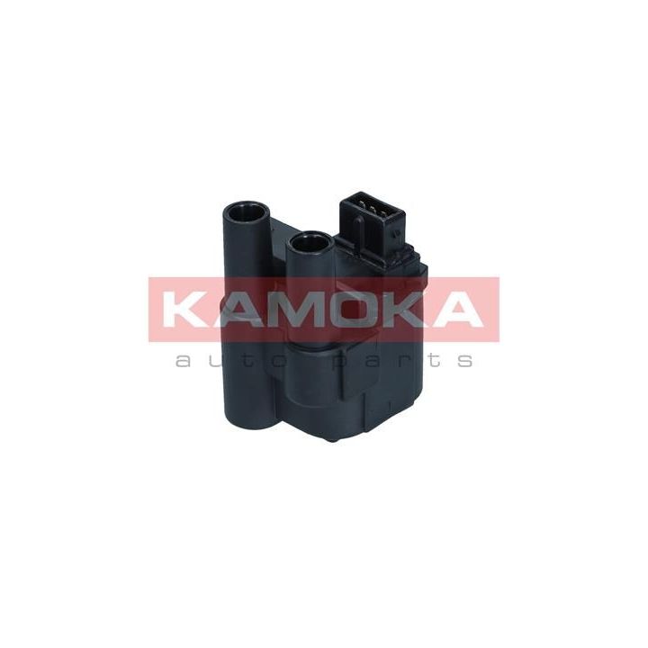 Ritė, uždegimas KAMOKA 7120145