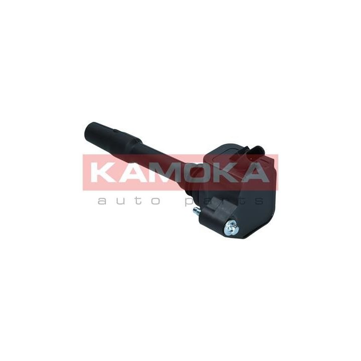 Ritė, uždegimas KAMOKA 7120147