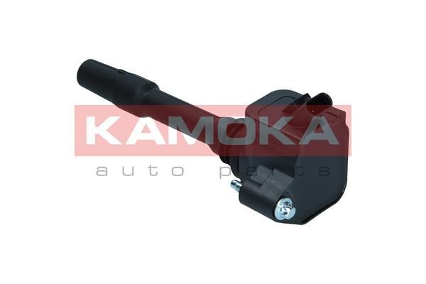 Ritė, uždegimas KAMOKA 7120147