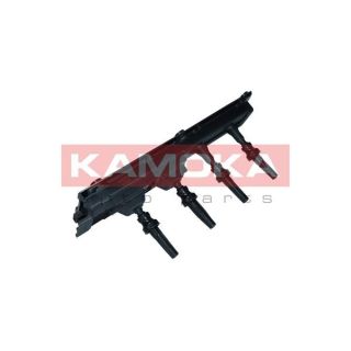 Ritė, uždegimas KAMOKA 7120148