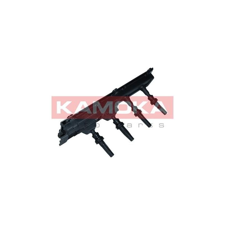 Ritė, uždegimas KAMOKA 7120148