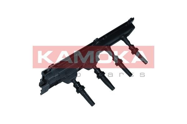 Ritė, uždegimas KAMOKA 7120148