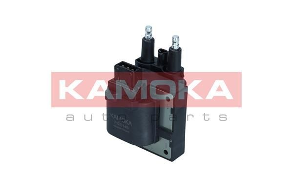 Ritė, uždegimas KAMOKA 7120149