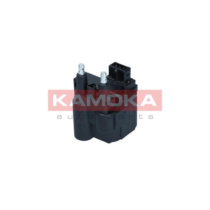 Ritė, uždegimas KAMOKA 7120149