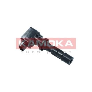 Ritė, uždegimas KAMOKA 7120151