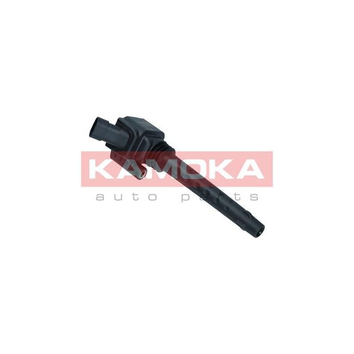 Ritė, uždegimas KAMOKA 7120156