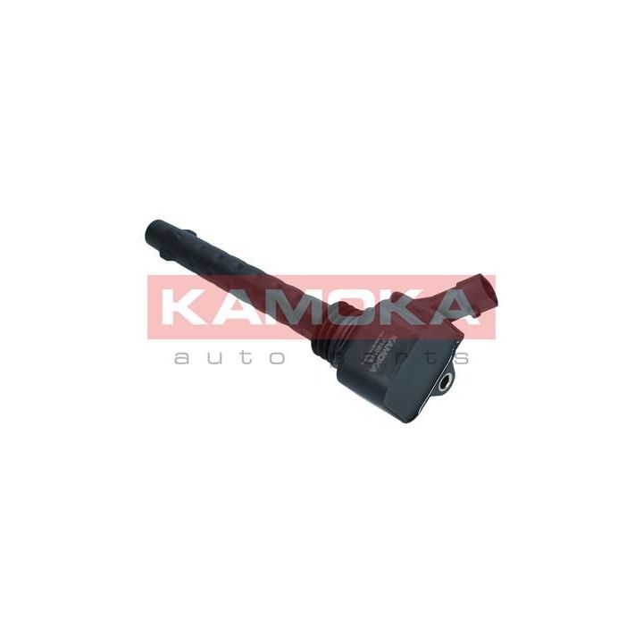 Ritė, uždegimas KAMOKA 7120156