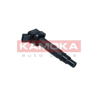 Ritė, uždegimas KAMOKA 7120157