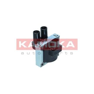 Ritė, uždegimas KAMOKA 7120161