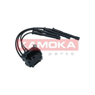 Ritė, uždegimas KAMOKA 7120164