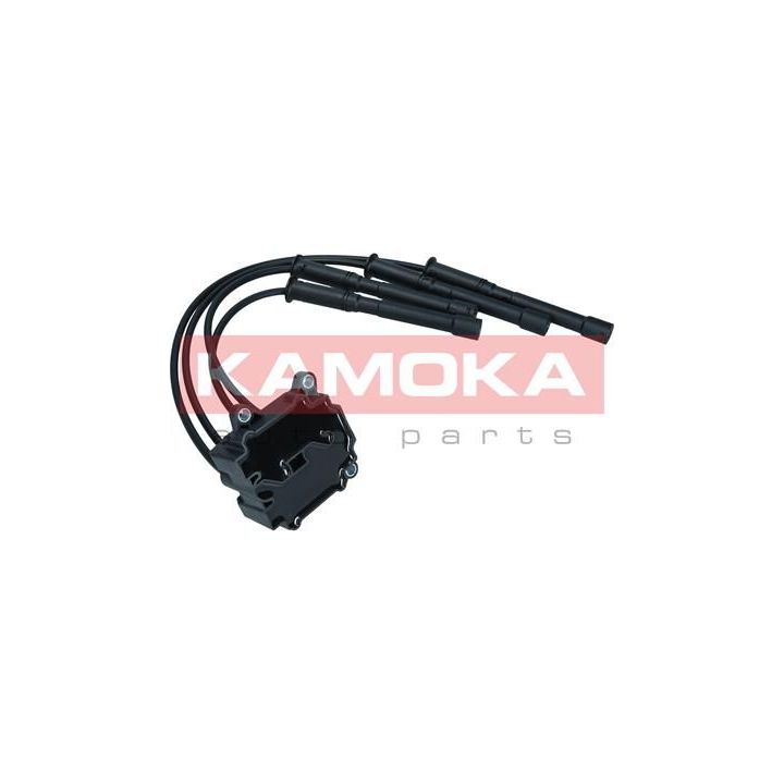 Ritė, uždegimas KAMOKA 7120164