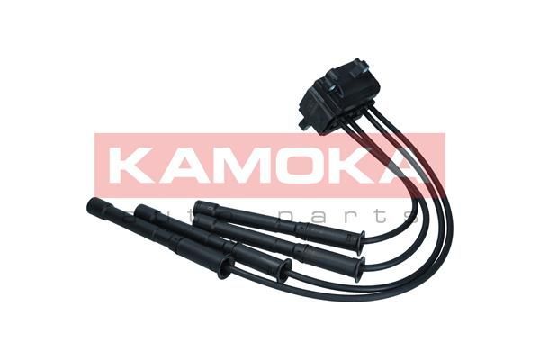 Ritė, uždegimas KAMOKA 7120164