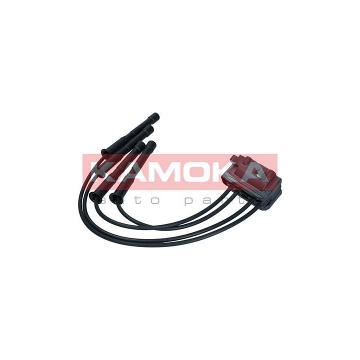 Ritė, uždegimas KAMOKA 7120164