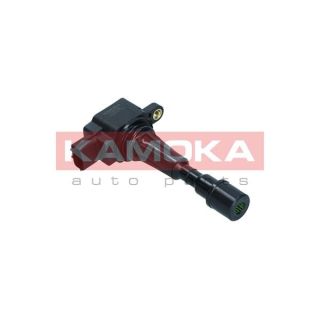 Ritė, uždegimas KAMOKA 7120169