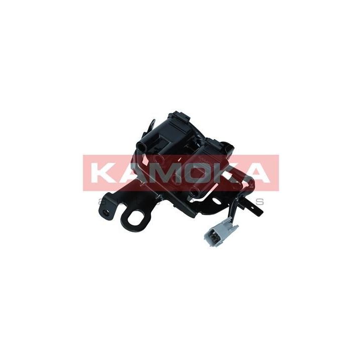 Ritė, uždegimas KAMOKA 7120174