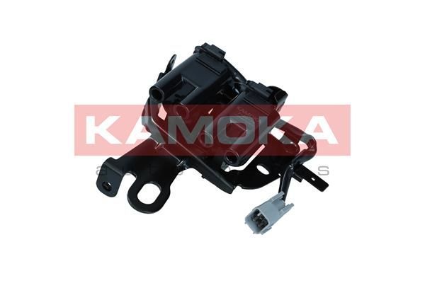 Ritė, uždegimas KAMOKA 7120174