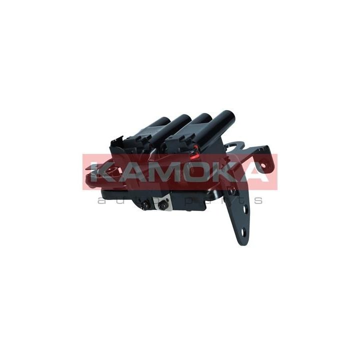 Ritė, uždegimas KAMOKA 7120174