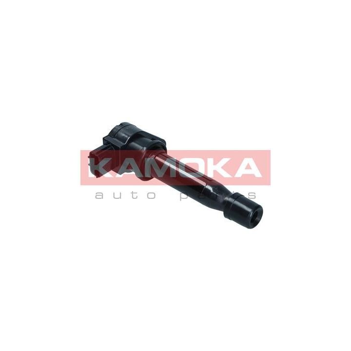 Ritė, uždegimas KAMOKA 7120176