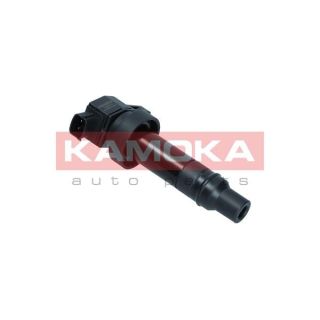 Ritė, uždegimas KAMOKA 7120177