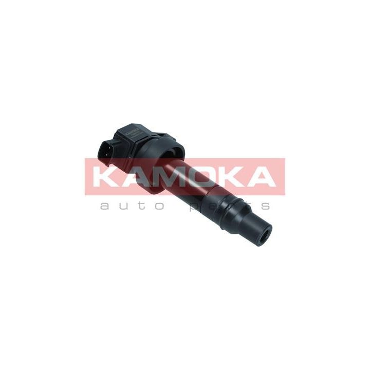 Ritė, uždegimas KAMOKA 7120177