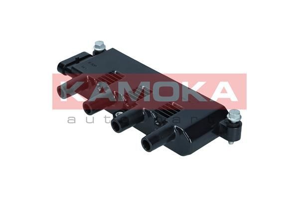 Ritė, uždegimas KAMOKA 7120181