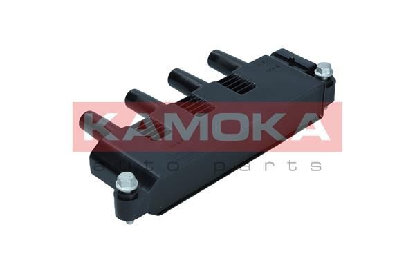 Ritė, uždegimas KAMOKA 7120181