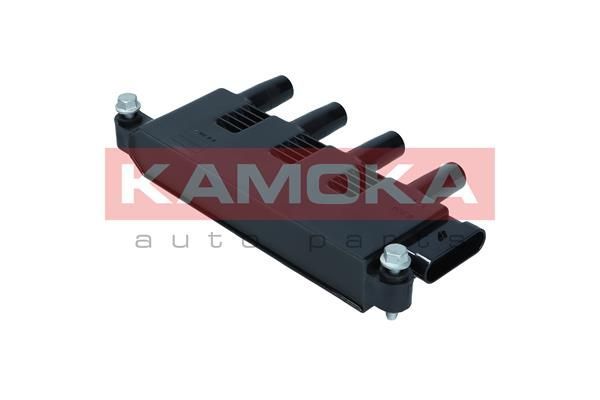 Ritė, uždegimas KAMOKA 7120181