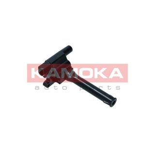 Ritė, uždegimas KAMOKA 7120183