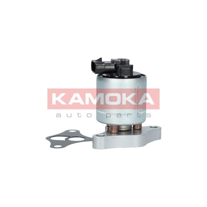 ERG vožtuvas KAMOKA 19002