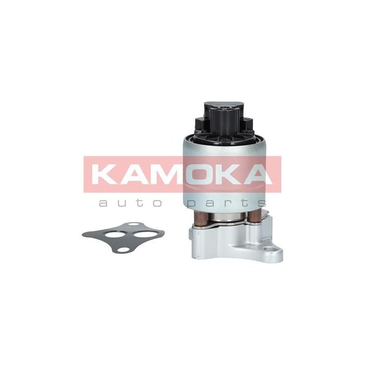 ERG vožtuvas KAMOKA 19003