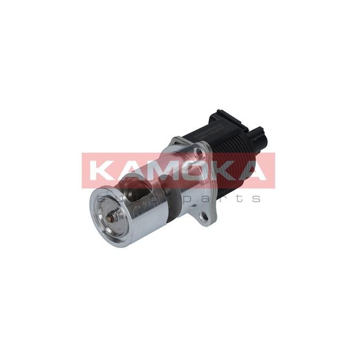 ERG vožtuvas KAMOKA 19009