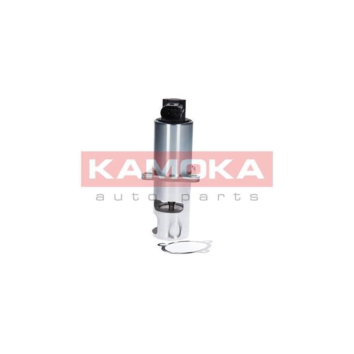 ERG vožtuvas KAMOKA 19010