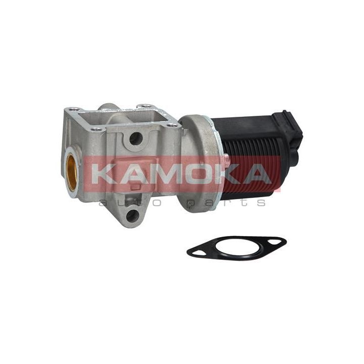 ERG vožtuvas KAMOKA 19013