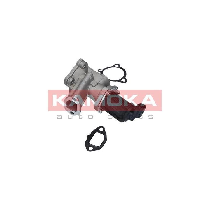 ERG vožtuvas KAMOKA 19050