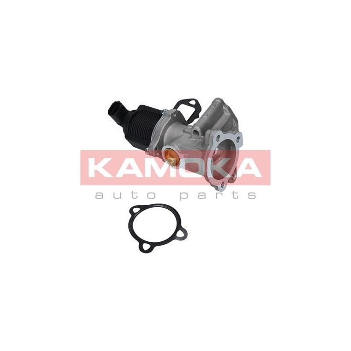 ERG vožtuvas KAMOKA 19050