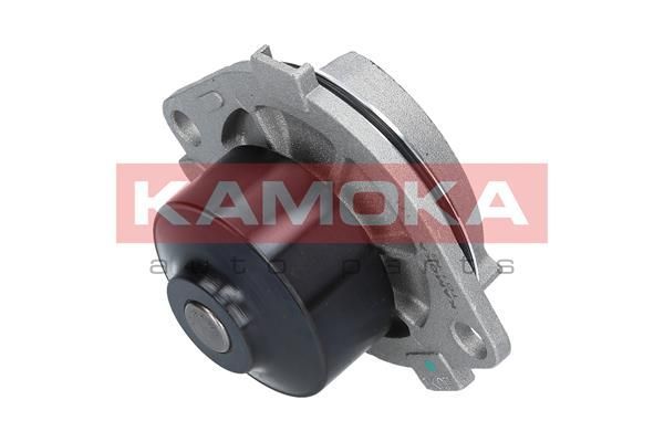 Vandens siurblys, variklio aušinimas KAMOKA T0113