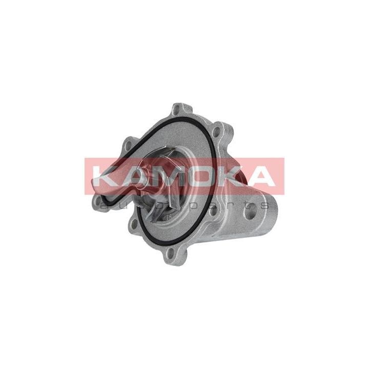 Vandens siurblys, variklio aušinimas KAMOKA T0259