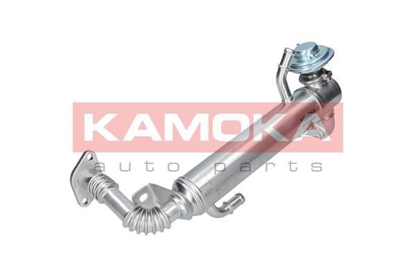 Aušintuvas, išmetamųjų dujų recirkuliacija KAMOKA 19073