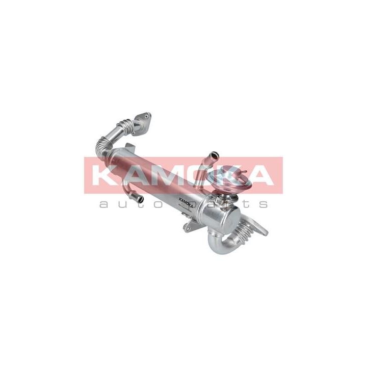 Aušintuvas, išmetamųjų dujų recirkuliacija KAMOKA 19073