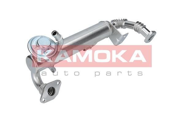 Aušintuvas, išmetamųjų dujų recirkuliacija KAMOKA 19073